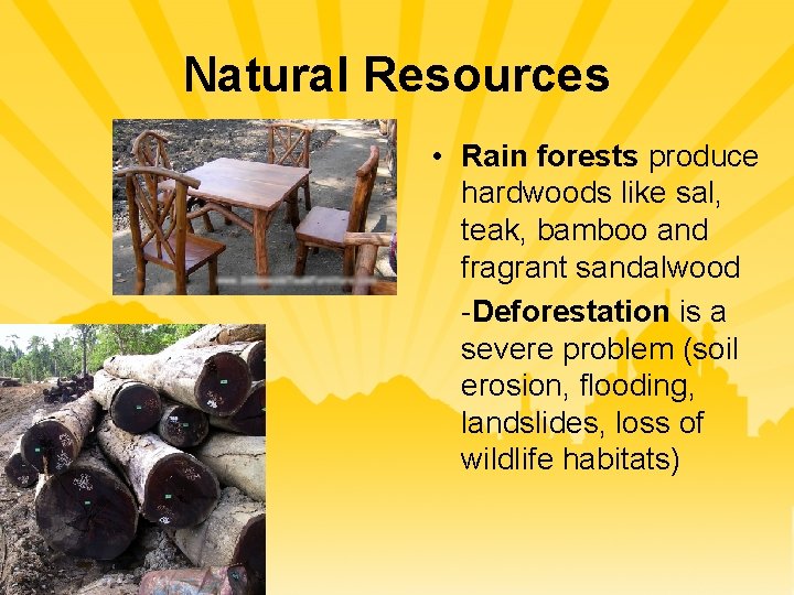 Natural Resources • Rain forests produce hardwoods like sal, teak, bamboo and fragrant sandalwood