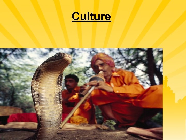 Culture 