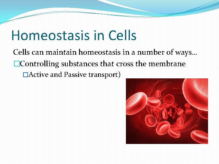 Homeostasis in Cells can maintain homeostasis in a number of ways… �Controlling substances that