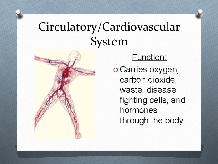 Circulatory/Cardiovascular System Function: O Carries oxygen, carbon dioxide, waste, disease fighting cells, and hormones