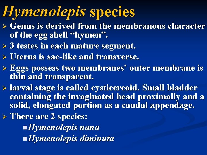 Hymenolepis species Genus is derived from the membranous character of the egg shell “hymen”.