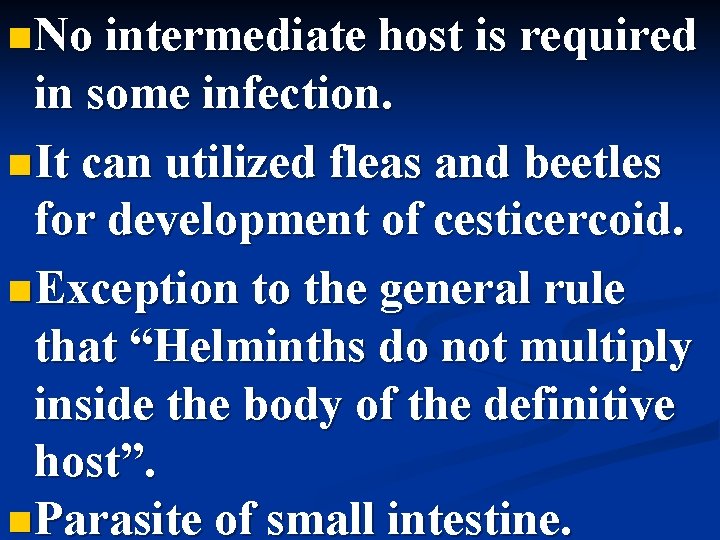 n No intermediate host is required in some infection. n It can utilized fleas