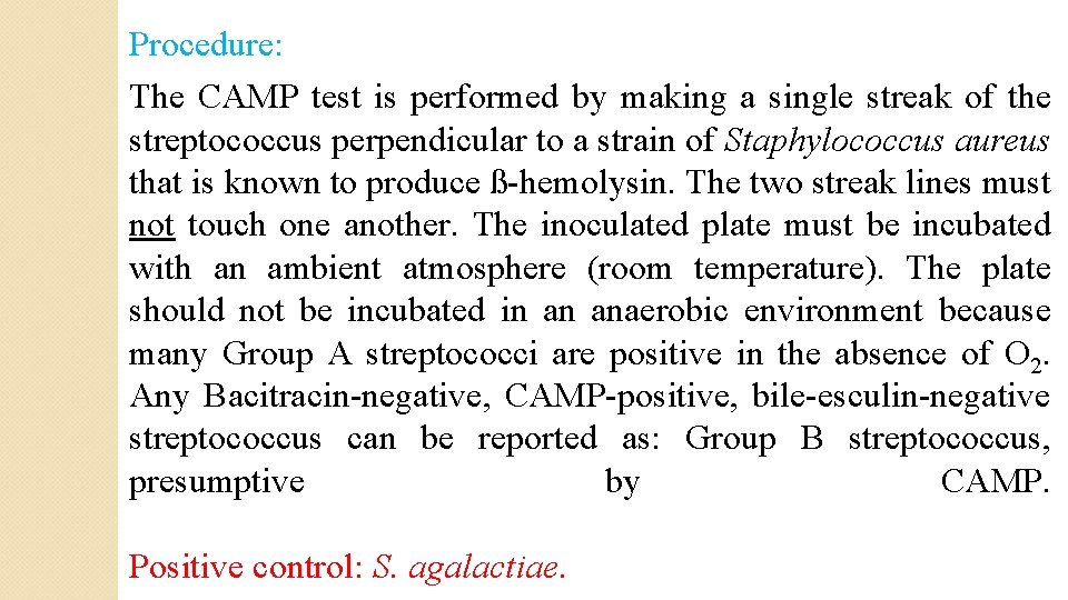 Procedure: The CAMP test is performed by making a single streak of the streptococcus