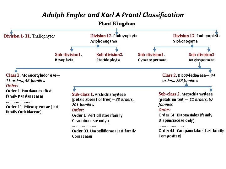 Adolph Engler and Karl A Prantl Classification Plant Kingdom Division 12. Embryophyta Asiphonogama Division