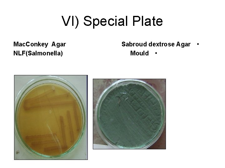 VI) Special Plate Mac. Conkey Agar NLF(Salmonella) Sabroud dextrose Agar • Mould • 