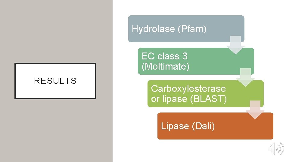 Hydrolase (Pfam) EC class 3 (Moltimate) RESULTS Carboxylesterase or lipase (BLAST) Lipase (Dali) Hydrolase (Pfam) EC class 3 (Moltimate) RESULTS Carboxylesterase or lipase (BLAST) Lipase (Dali)