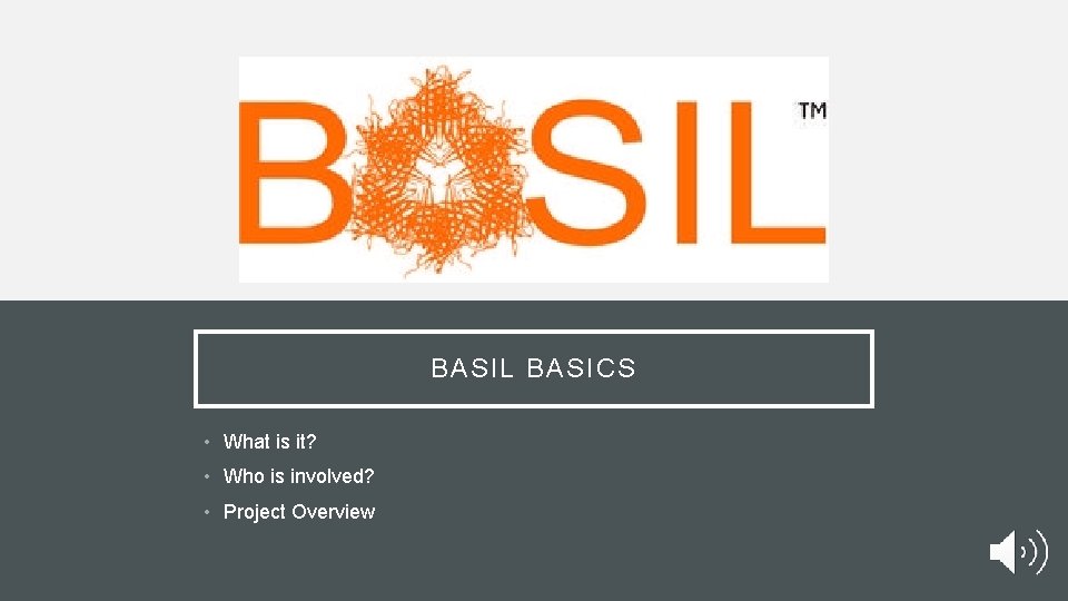 BASIL BASICS • What is it? • Who is involved? • Project Overview BASIL BASICS • What is it? • Who is involved? • Project Overview