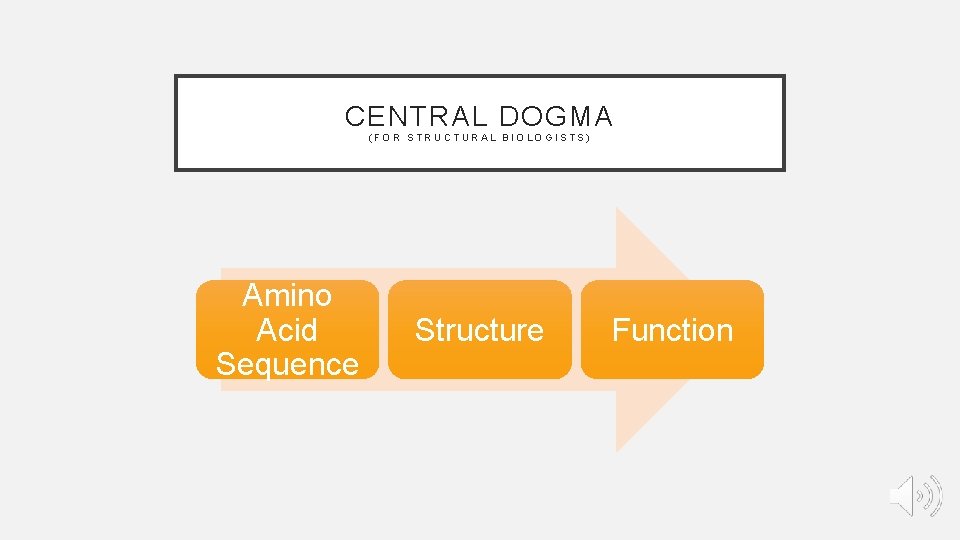 CENTRAL DOGMA (FOR STRUCTURAL BIOLOGISTS) Amino Acid Sequence Structure Function CENTRAL DOGMA (FOR STRUCTURAL BIOLOGISTS) Amino Acid Sequence Structure Function