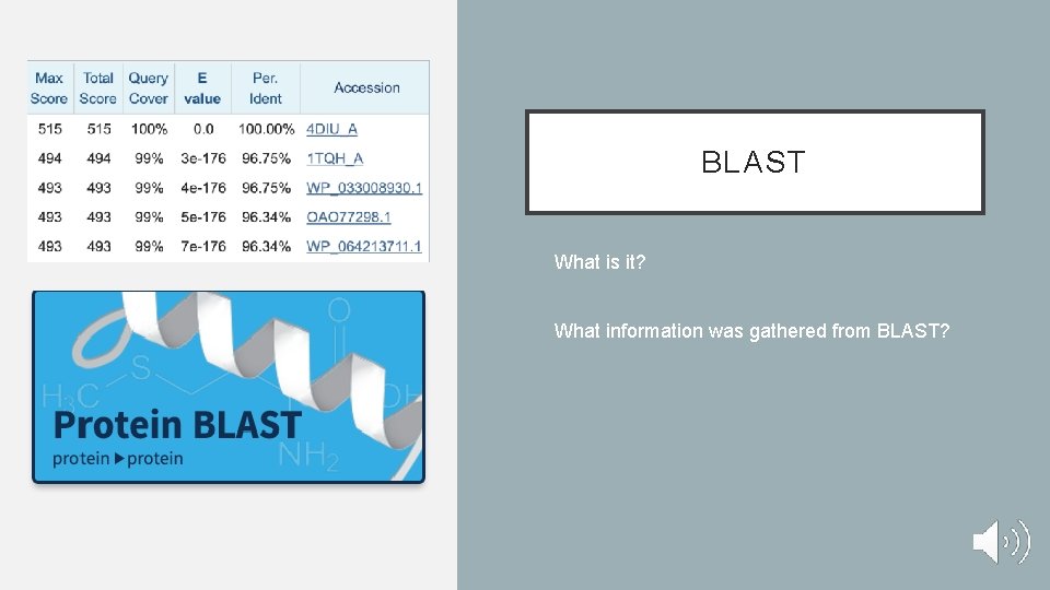 BLAST • What is it? • What information was gathered from BLAST? BLAST • What is it? • What information was gathered from BLAST?