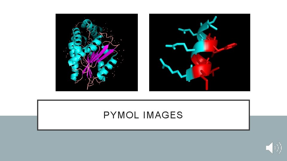 PYMOL IMAGES PYMOL IMAGES