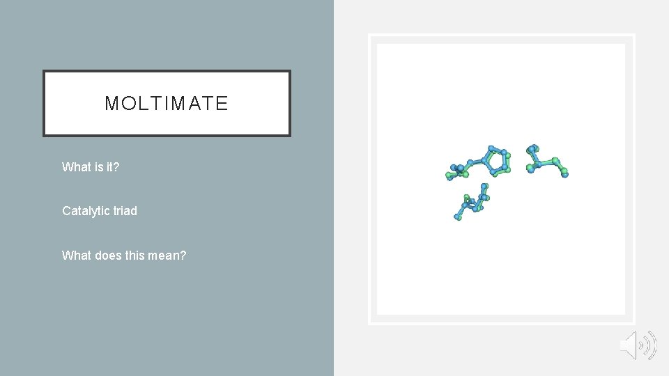 MOLTIMATE • What is it? • Catalytic triad • What does this mean? MOLTIMATE • What is it? • Catalytic triad • What does this mean?