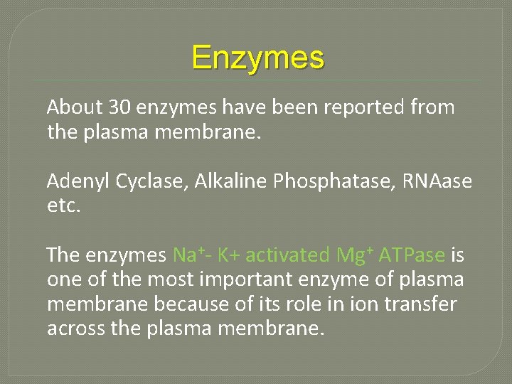 Enzymes About 30 enzymes have been reported from the plasma membrane. Adenyl Cyclase, Alkaline