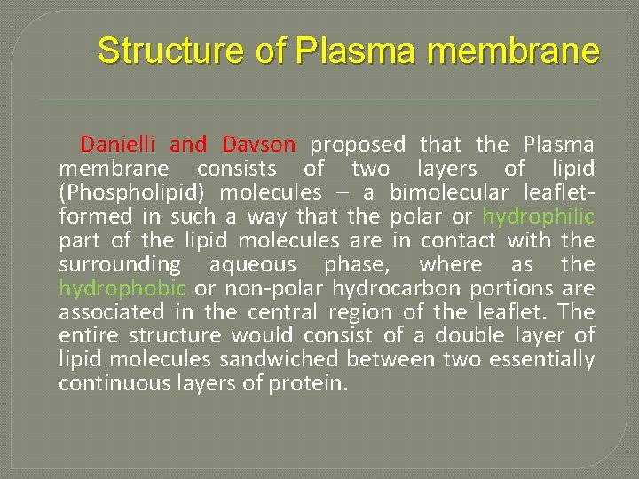 Structure of Plasma membrane Danielli and Davson proposed that the Plasma membrane consists of