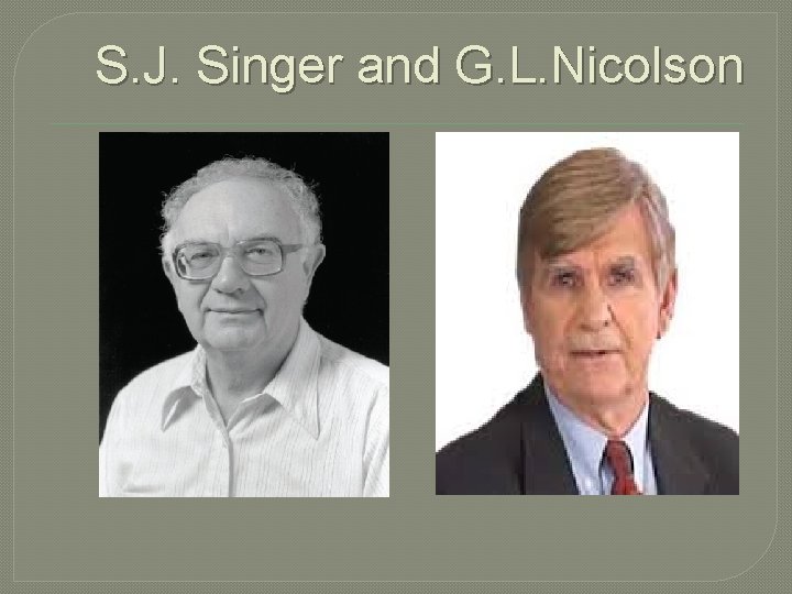 S. J. Singer and G. L. Nicolson 