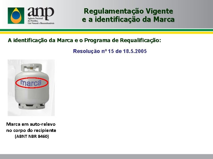 Regulamentação Vigente e a identificação da Marca A identificação da Marca e o Programa