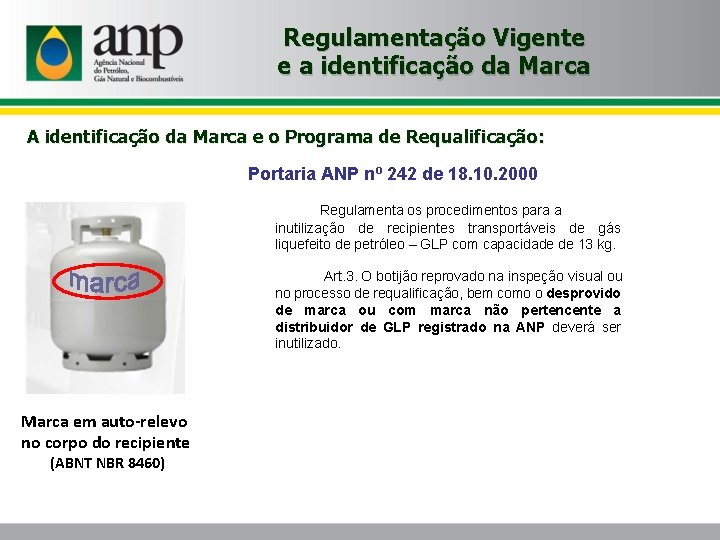 Regulamentação Vigente e a identificação da Marca A identificação da Marca e o Programa