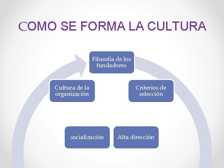 COMO SE FORMA LA CULTURA Filosofía de los fundadores Cultura de la organización socialización