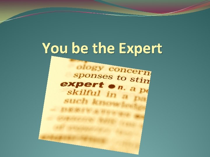 You be the Expert 