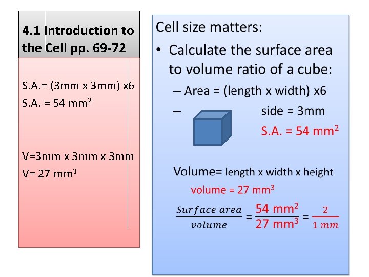  • 4. 1 Introduction to the Cell pp. 69 -72 S. A. =