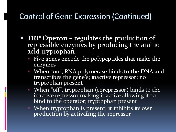 Control of Gene Expression (Continued) TRP Operon – regulates the production of repressible enzymes