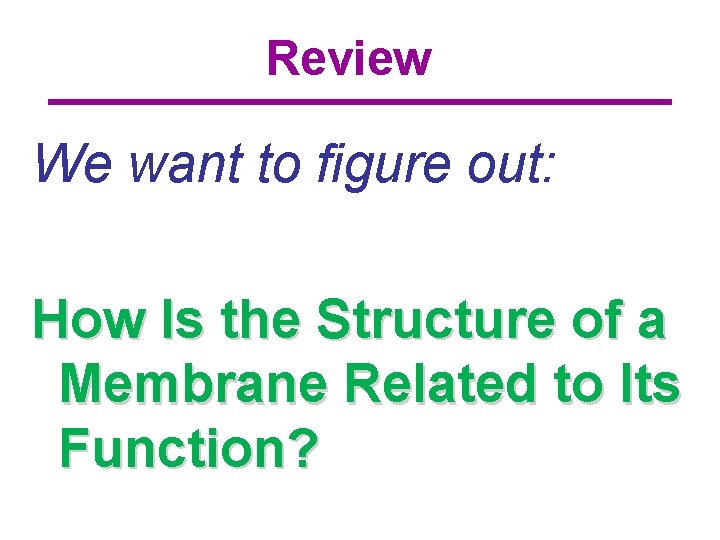 Review We want to figure out: How Is the Structure of a Membrane Related