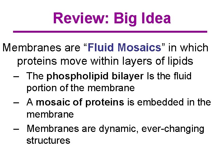 Review: Big Idea Membranes are “Fluid Mosaics” in which proteins move within layers of