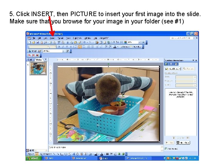 5. Click INSERT, then PICTURE to insert your first image into the slide. Make