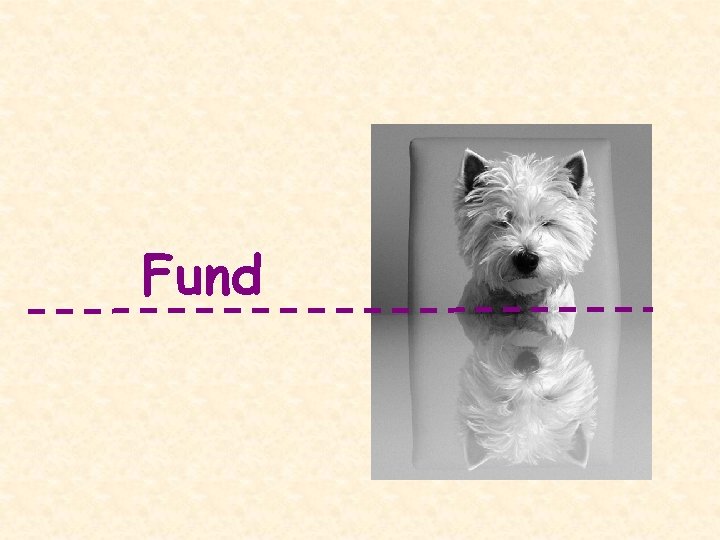 Fund Fund