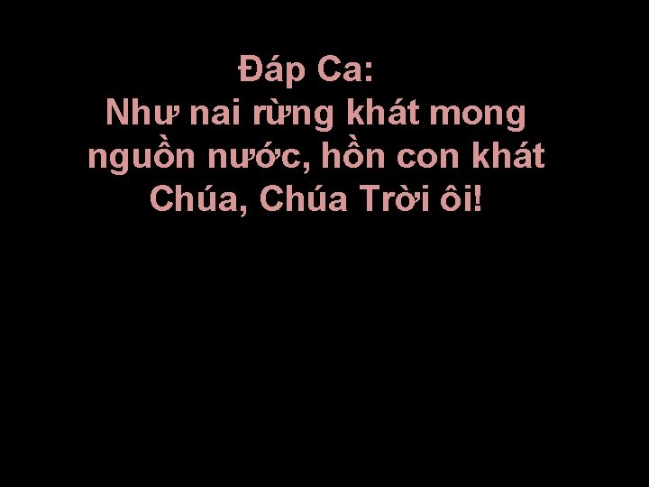 Ðáp Ca: Như nai rừng khát mong nguồn nước, hồn con khát Chúa, Chúa