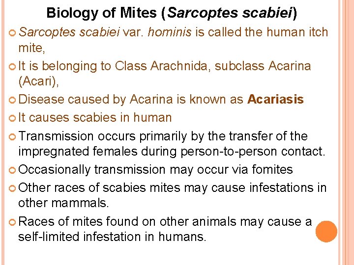 Biology of Mites (Sarcoptes scabiei) Sarcoptes scabiei var. hominis is called the human itch