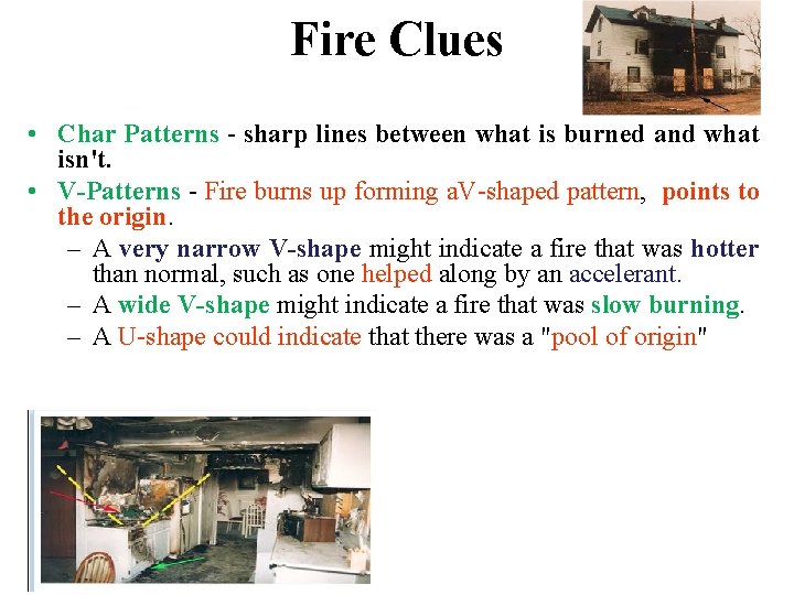 Fire Clues • Char Patterns - sharp lines between what is burned and what