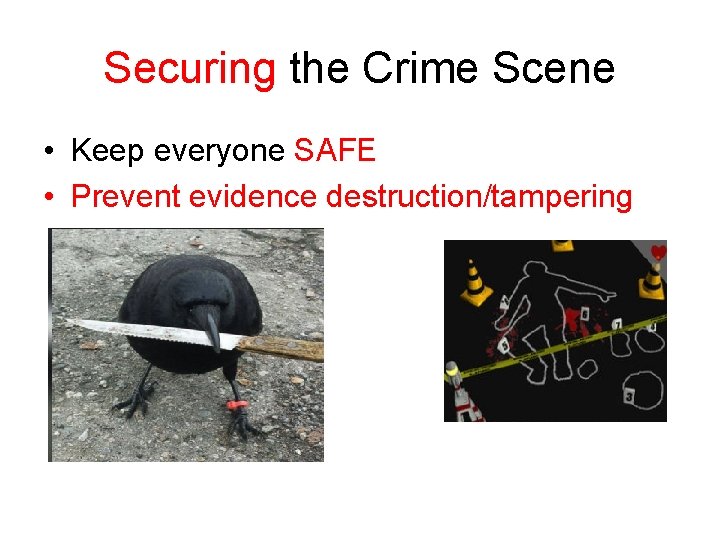 Securing the Crime Scene • Keep everyone SAFE • Prevent evidence destruction/tampering 