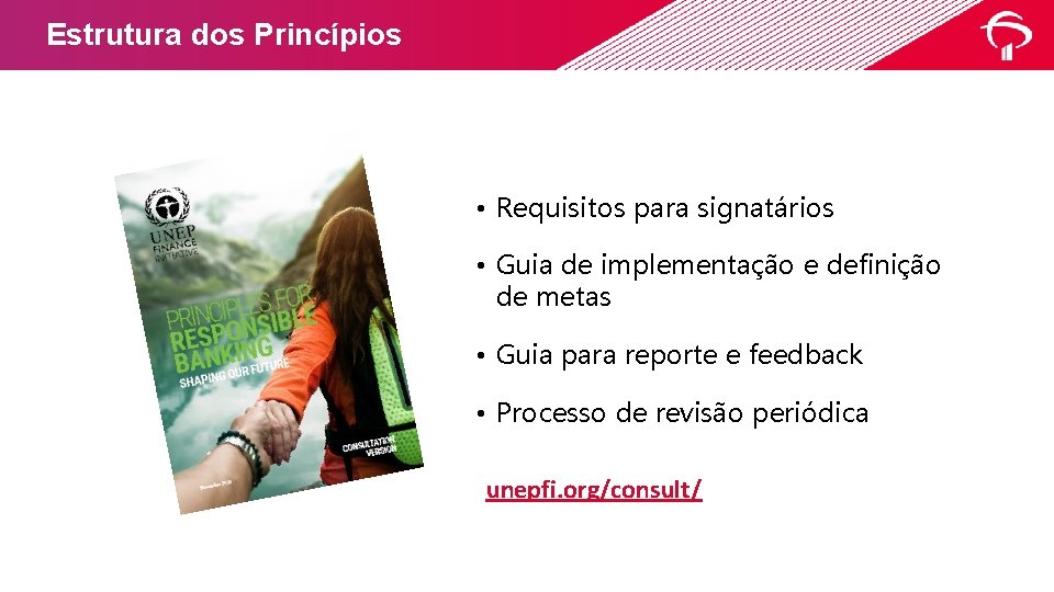 Estrutura dos Princípios • Requisitos para signatários • Guia de implementação e definição de