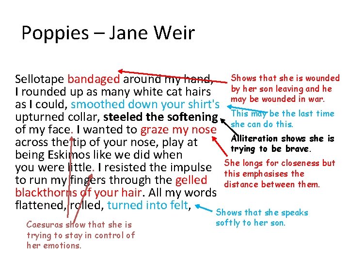 Poppies – Jane Weir Sellotape bandaged around my hand, Shows that she is wounded