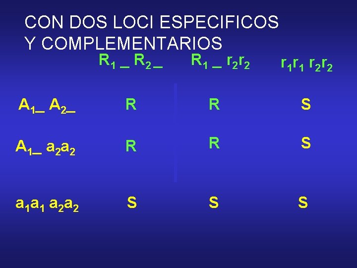 CON DOS LOCI ESPECIFICOS Y COMPLEMENTARIOS R 1 _ R 2 _ R 1