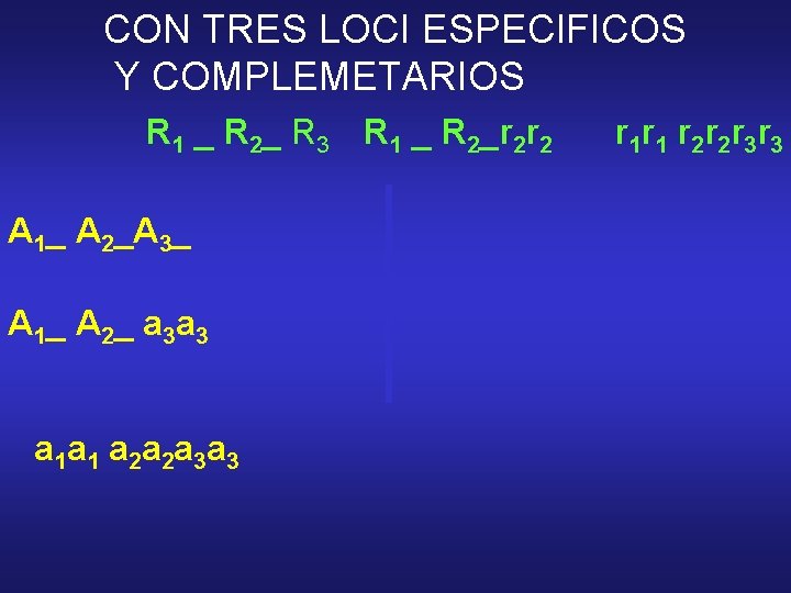 CON TRES LOCI ESPECIFICOS Y COMPLEMETARIOS R 1 _ R 2_ R 3 R