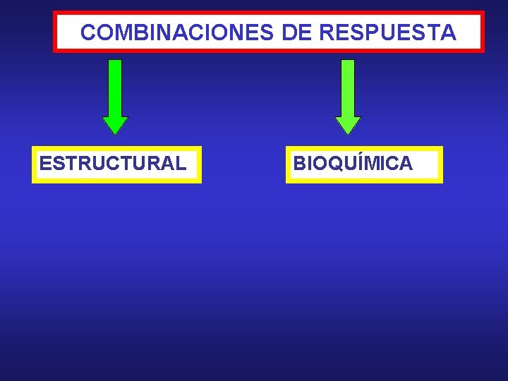 COMBINACIONES DE RESPUESTA ESTRUCTURAL BIOQUÍMICA 