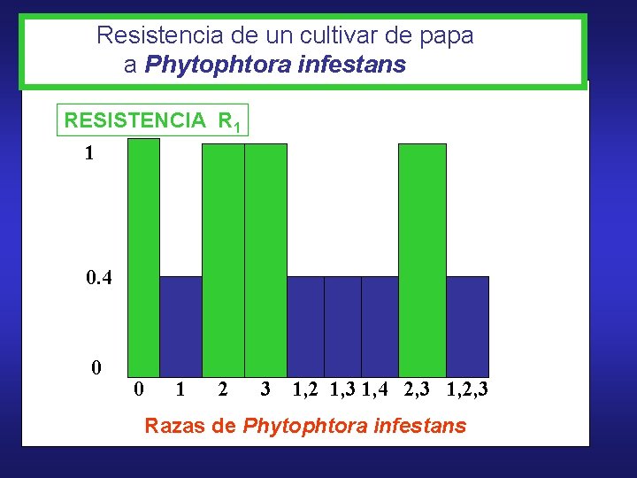 Resistencia de un cultivar de papa a Phytophtora infestans RESISTENCIA R 1 1 0.