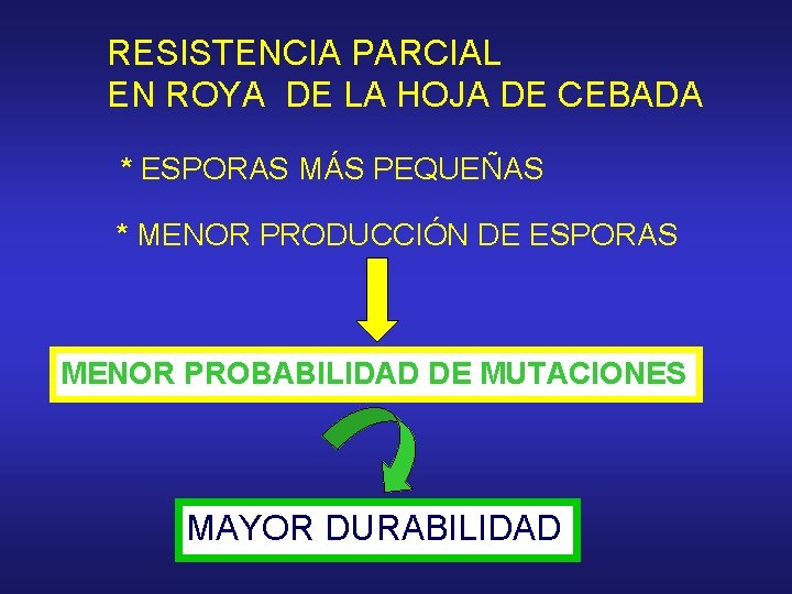 RESISTENCIA PARCIAL EN ROYA DE LA HOJA DE CEBADA * ESPORAS MÁS PEQUEÑAS *