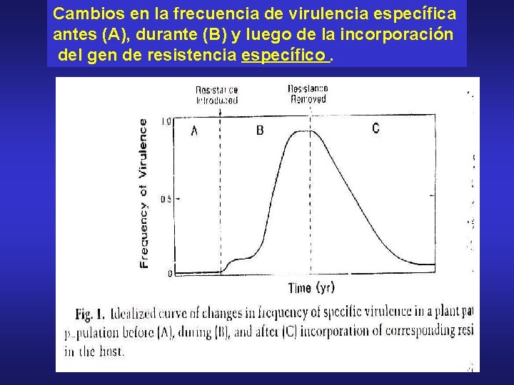 Cambios en la frecuencia de virulencia específica antes (A), durante (B) y luego de