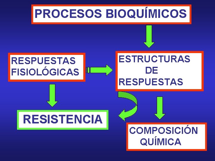 PROCESOS BIOQUÍMICOS RESPUESTAS FISIOLÓGICAS RESISTENCIA ESTRUCTURAS DE RESPUESTAS COMPOSICIÓN QUÍMICA 