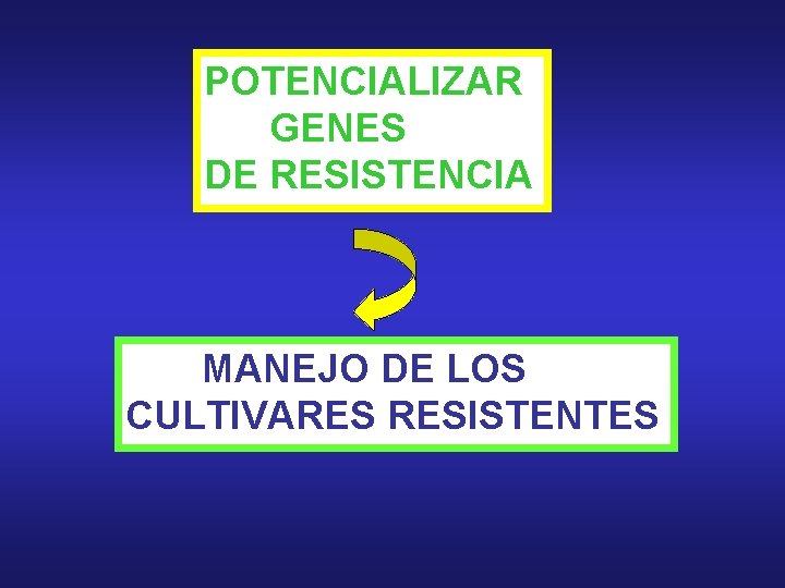 POTENCIALIZAR GENES DE RESISTENCIA MANEJO DE LOS CULTIVARES RESISTENTES 