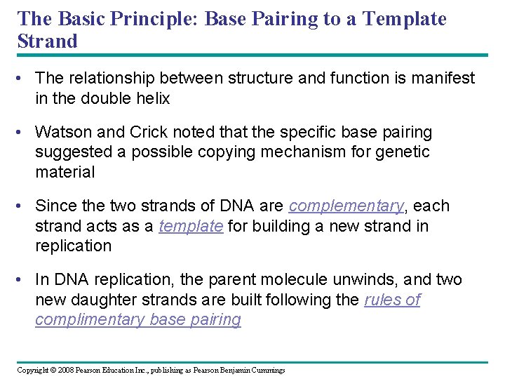 The Basic Principle: Base Pairing to a Template Strand • The relationship between structure