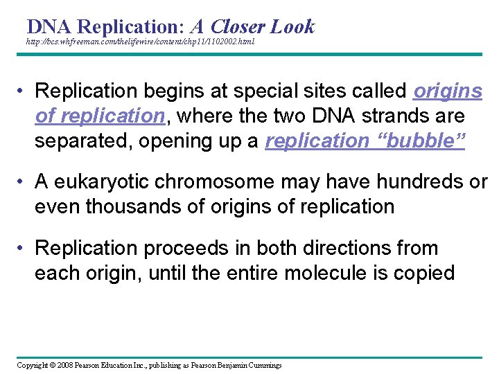 DNA Replication: A Closer Look http: //bcs. whfreeman. com/thelifewire/content/chp 11/1102002. html • Replication begins