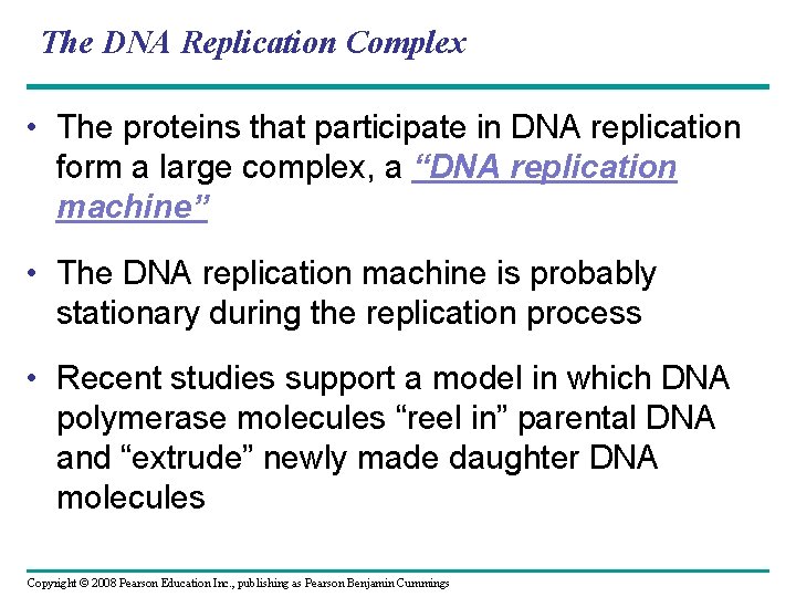 The DNA Replication Complex • The proteins that participate in DNA replication form a