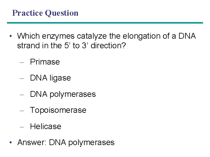 Practice Question • Which enzymes catalyze the elongation of a DNA strand in the