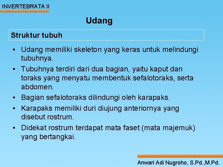INVERTEBRATA II Udang Struktur tubuh ____ Click__to____ edit Master _____ text styles ______ •