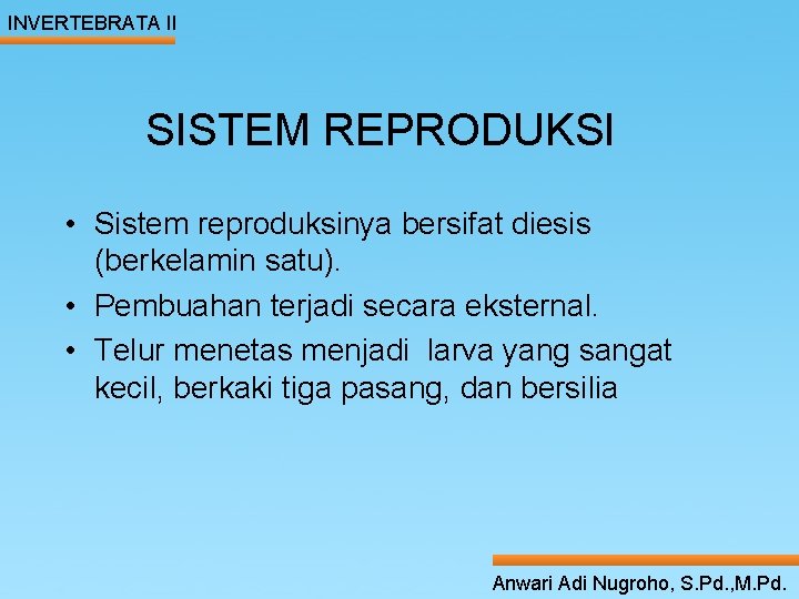 INVERTEBRATA II SISTEM REPRODUKSI ____ Click__to____ edit Master _____ text styles ______ Second level