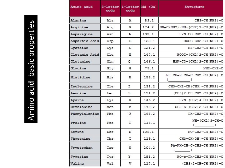 Amino acid: basic properties 