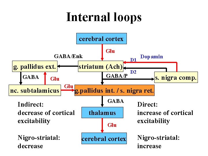 Internal loops cerebral cortex GABA/Enk g. pallidus ext. GABA striatum (Ach) GABA/P Glu nc. Internal loops cerebral cortex GABA/Enk g. pallidus ext. GABA striatum (Ach) GABA/P Glu nc.